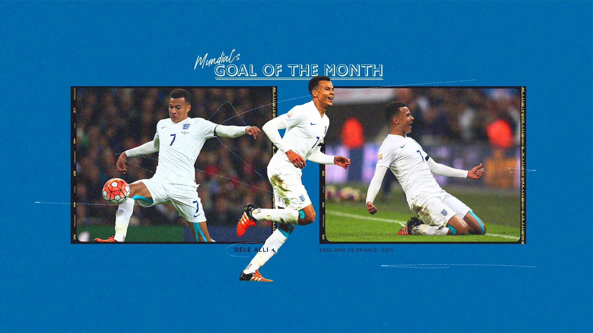 他提供了強 他提供了強