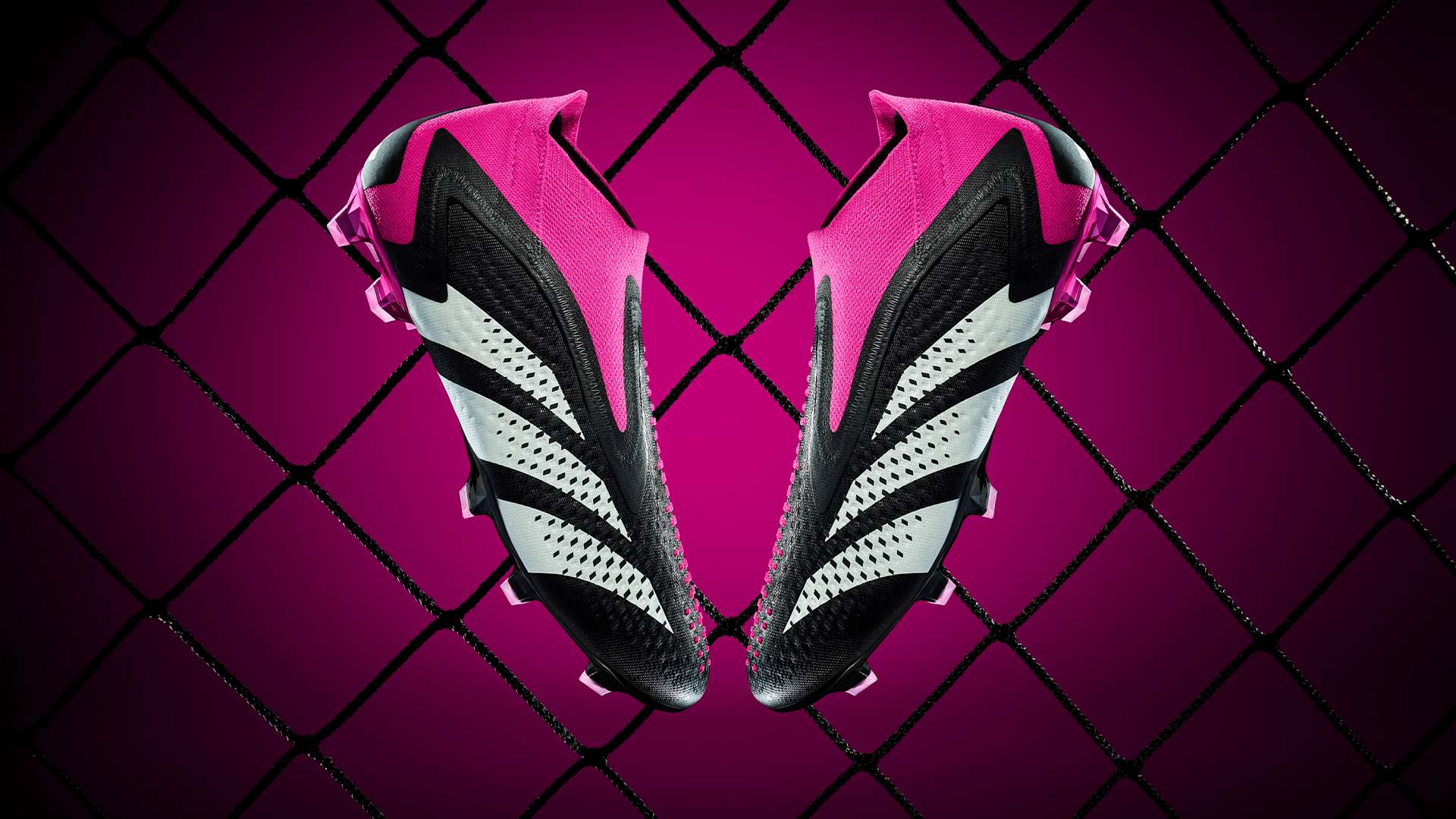 為球隊奠定 為球隊奠定